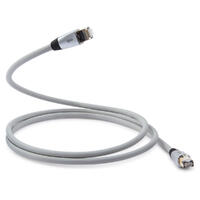 PERFORMANCE ETHERNET (0.75m)