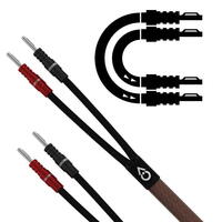 EpicX Speaker Cable 2m pair